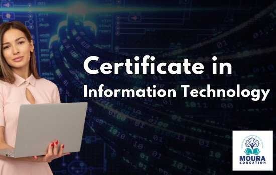 CERTIFICATE IN INFORMATION TECHNOLIGY