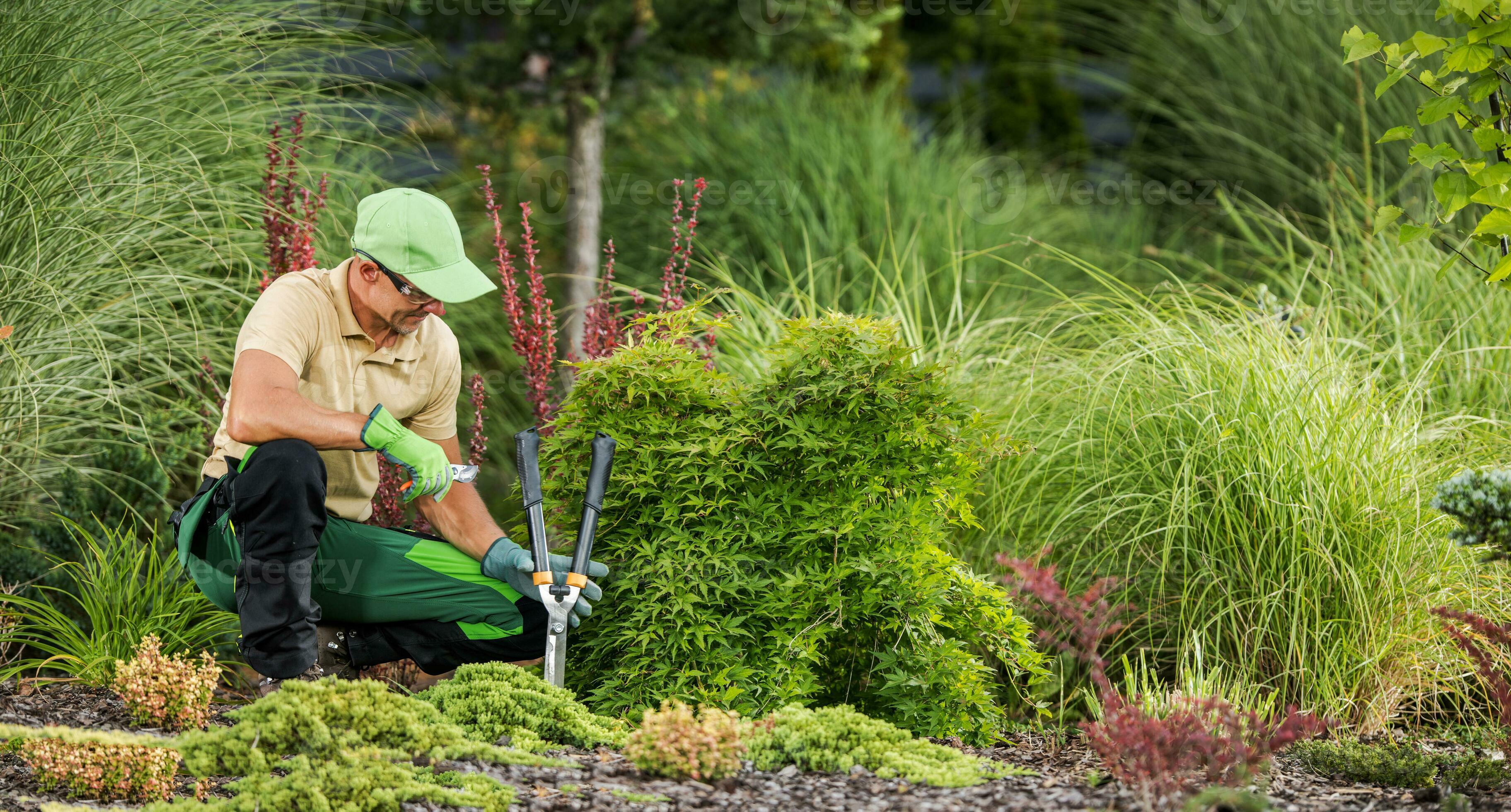 DIPLOMA IN GARDENER